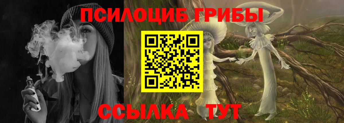 Псилоцибиновые грибы мицелий Ликино-Дулёво