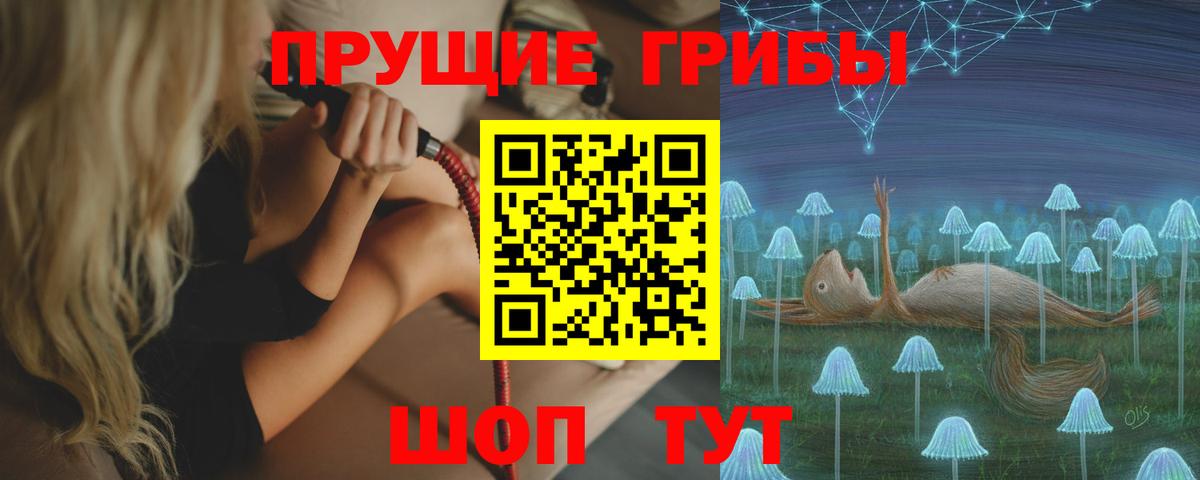 Ликино-Дулёво  Галлюциногенные грибы Cubensis  Вход с VPN 